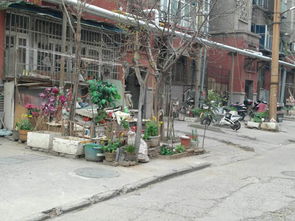 軸承廠物業公司十五號小區物業管理功能缺失